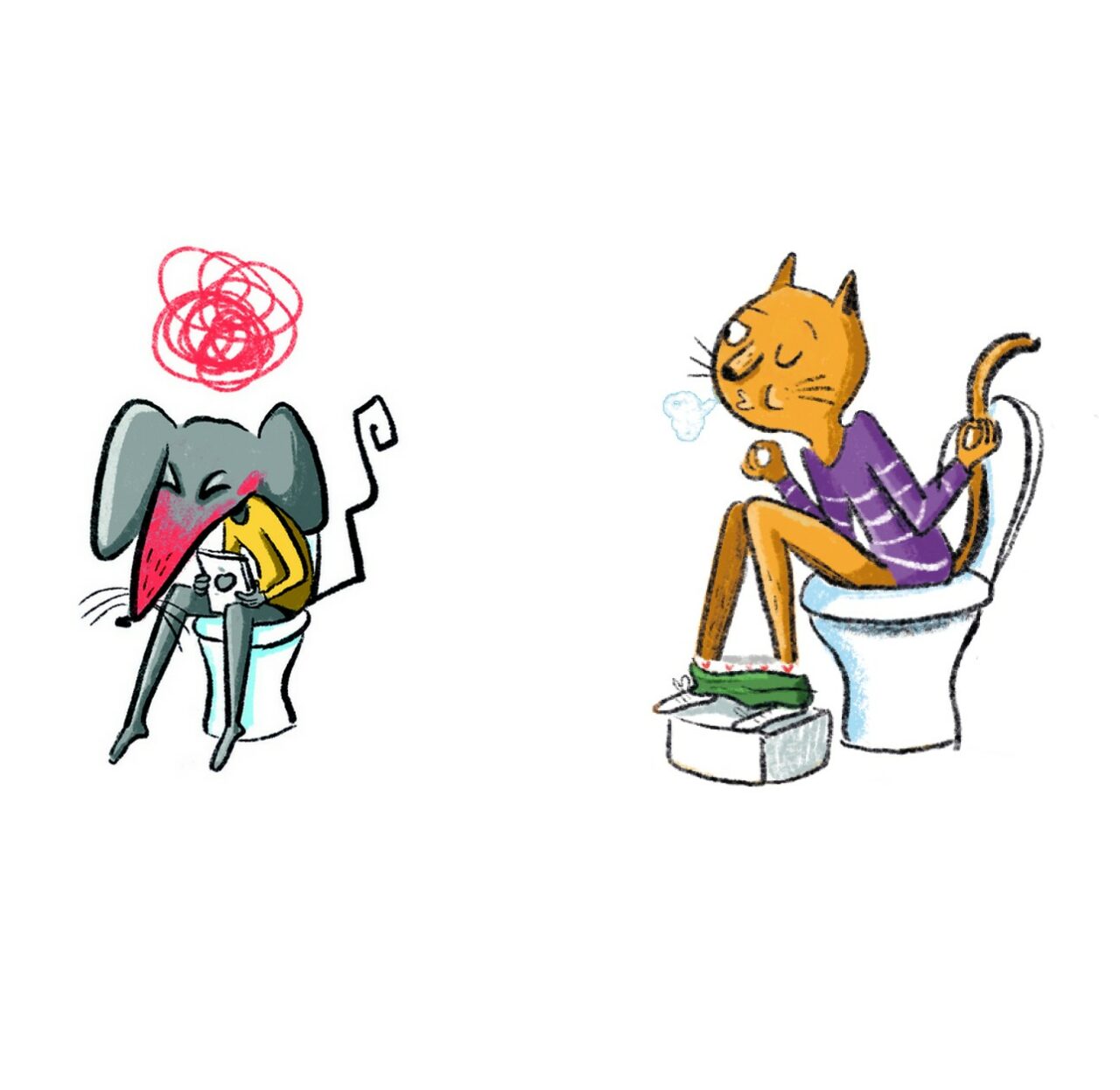 Souris et Chat sur les toilettes